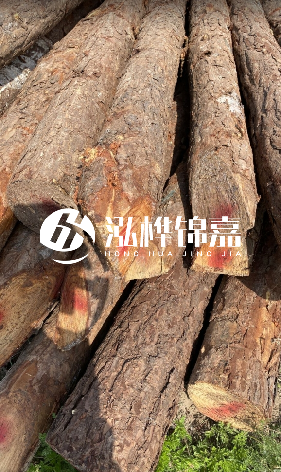 <strong>松木樁和杉木樁的用途區(qū)別？哪個更適合打樁用？</strong>