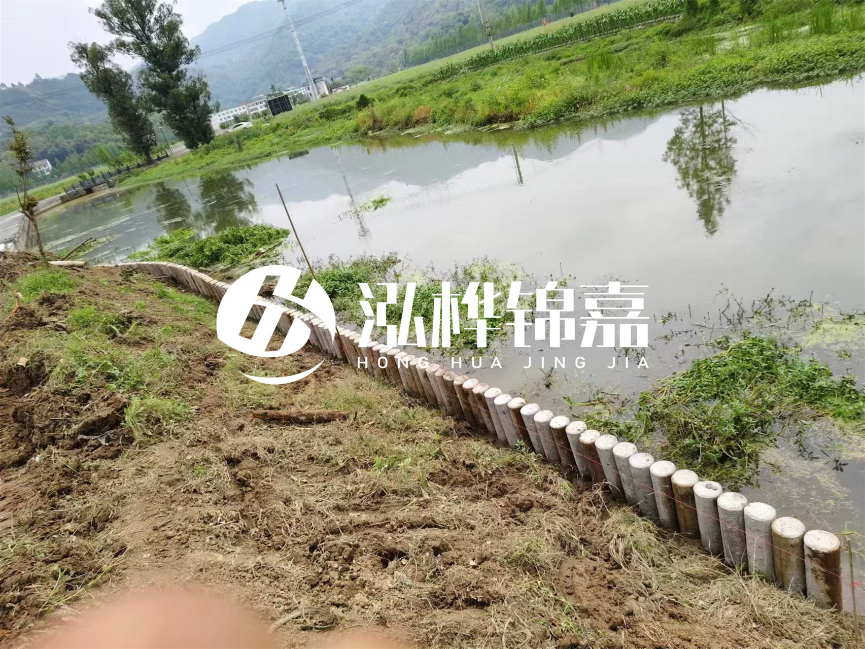 松木樁加固河道與水泥樁對(duì)比如何？哪一種更加適合您？