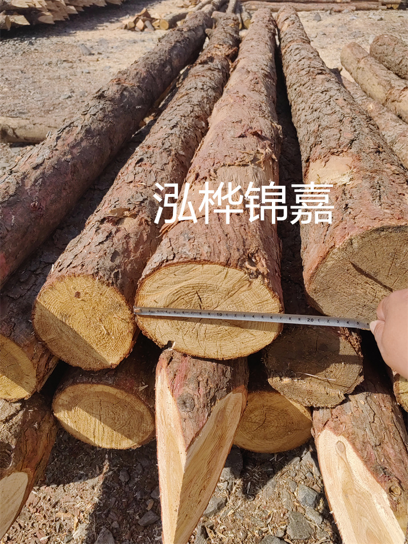 福建哪里買(mǎi)松木樁？